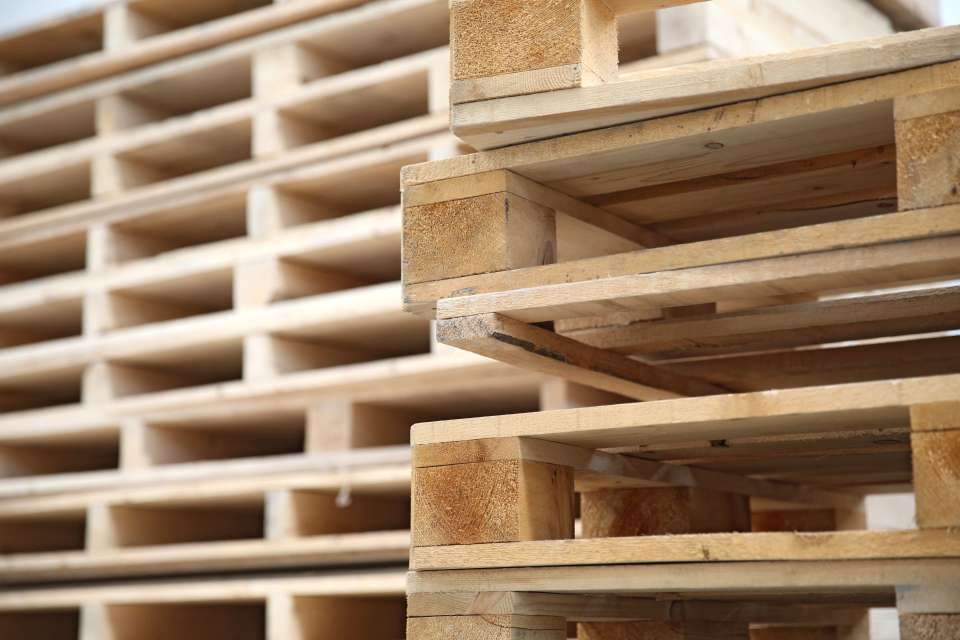 Attrezzature per lavorare il legno