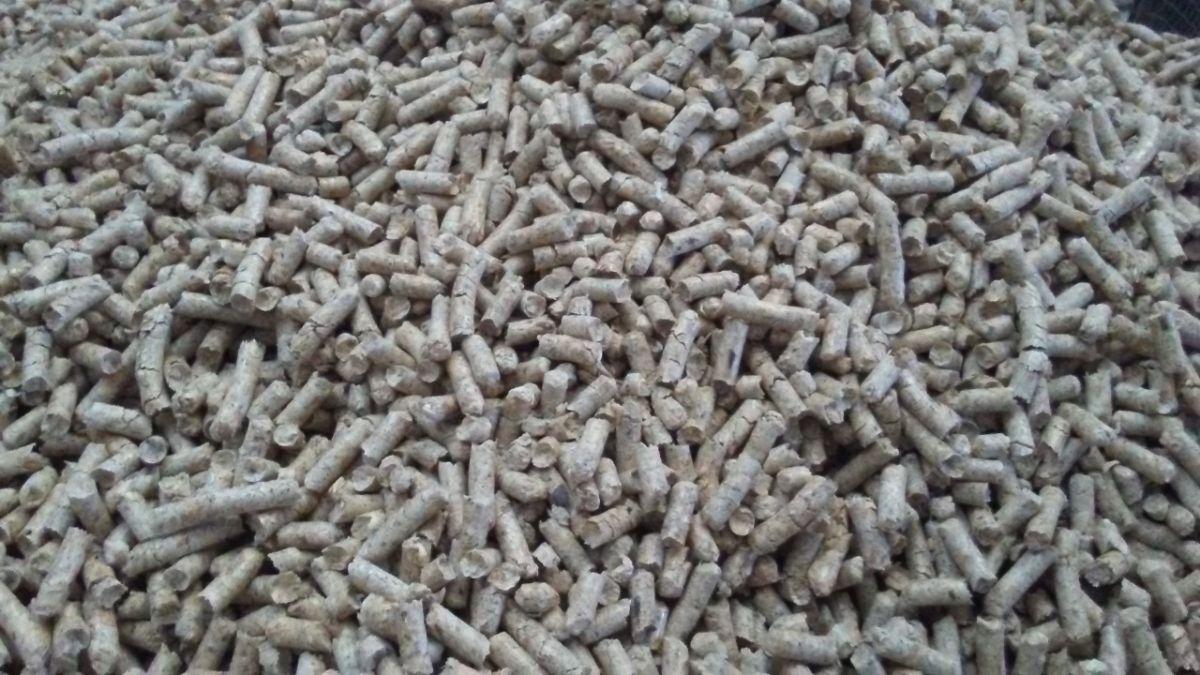 Pellet per stufe e caldaie