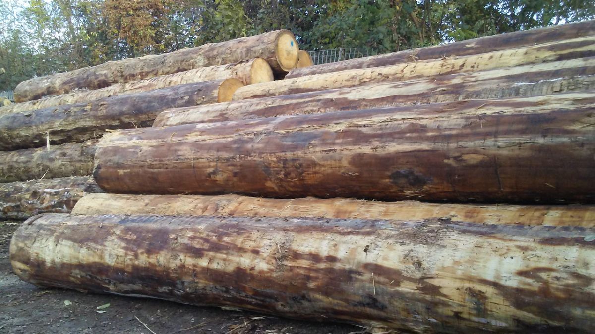 Imballaggi in legno